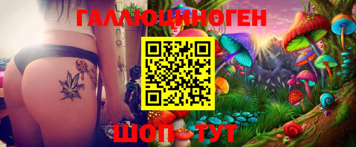 наркошоп  Псилоцибиновые грибы GOLDEN TEACHER  Галлюциногенные грибы Psilocybe  Вход с VPN  Дятьково 