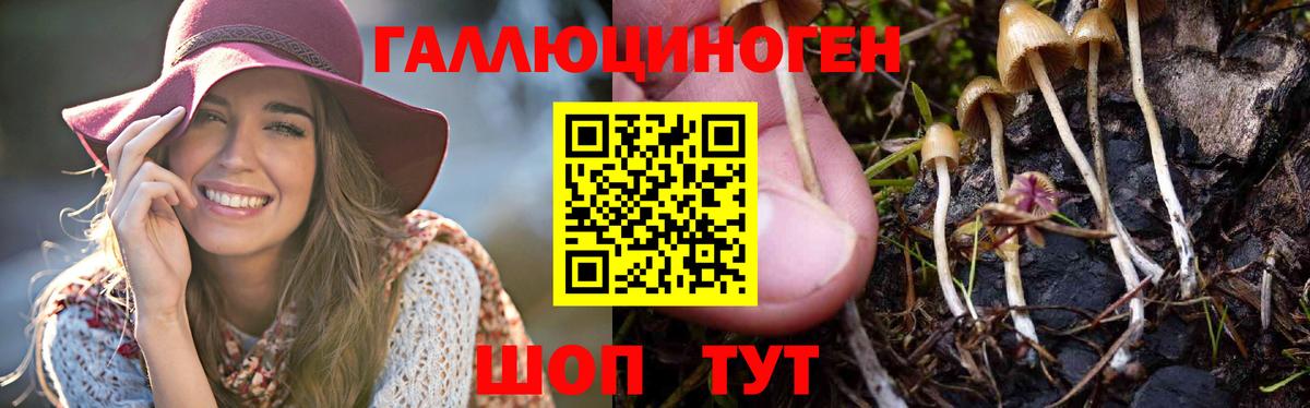 Галлюциногенные грибы Magic Shrooms Дятьково